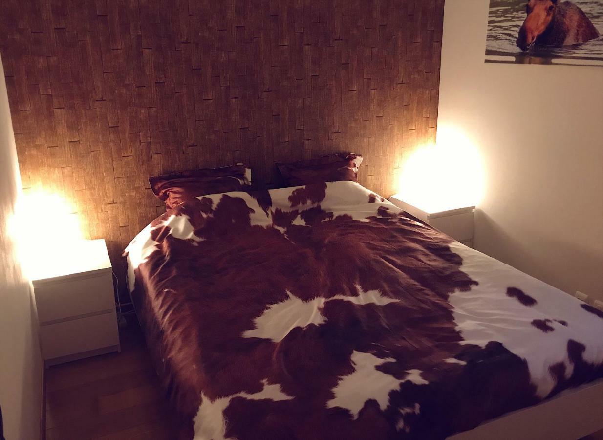 Villa Dakota - Jacuzzi, Zwembad, Playstation Durbuy Eksteriør bilde
